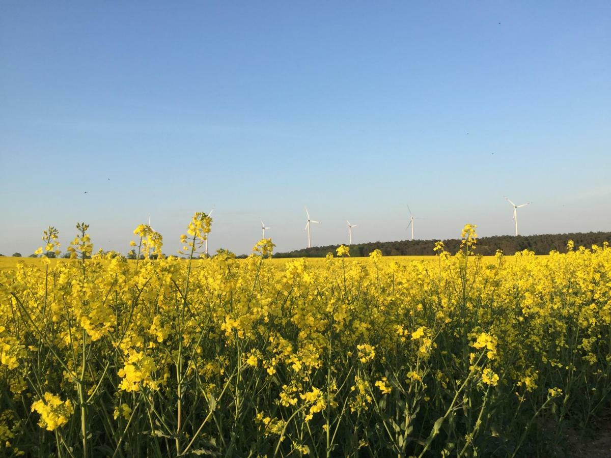 Ferienhaus Biene Wartin Buitenkant foto