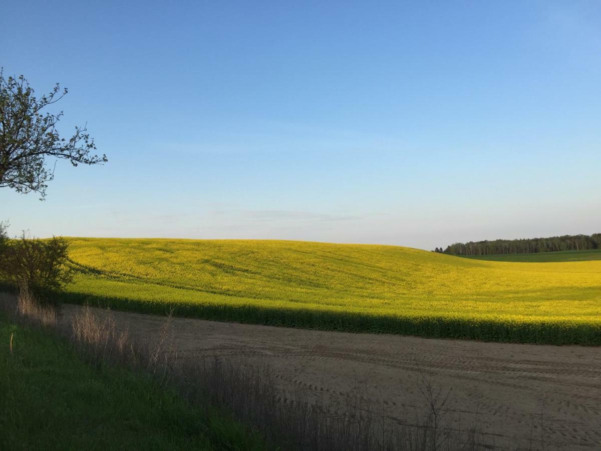 Ferienhaus Biene Wartin Buitenkant foto